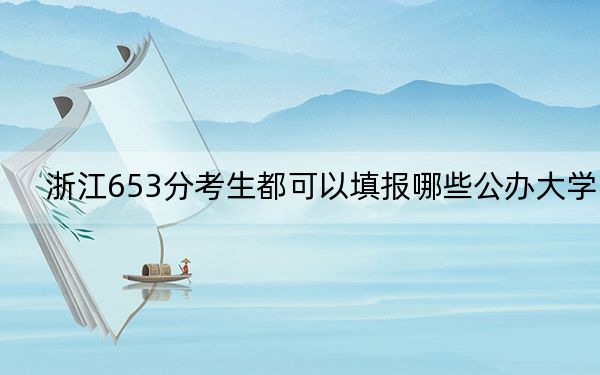 浙江653分考生都可以填报哪些公办大学？ 2024年一共录取9所大学