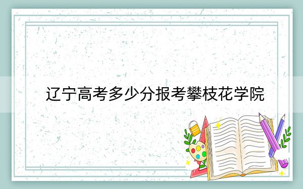 辽宁高考多少分报考攀枝花学院？附2022-2024年最低录取分数线