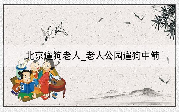 北京遛狗老人_老人公园遛狗中箭
