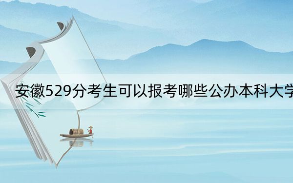 安徽529分考生可以报考哪些公办本科大学？（附带2022-2024年529录取名单）
