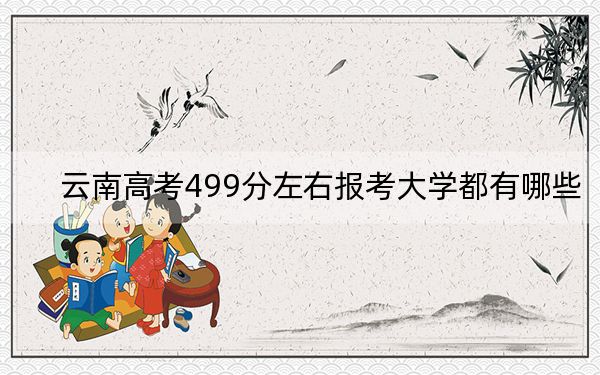云南高考499分左右报考大学都有哪些？ 2025年高考可以填报30所大学