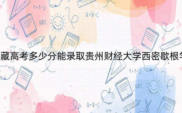 西藏高考多少分能录取贵州财经大学西密歇根学院？附2022-2024年最低录取分数线