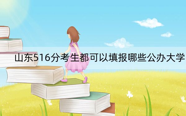 山东516分考生都可以填报哪些公办大学？ 2025年高考可以填报14所大学