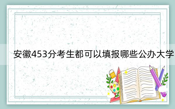 安徽453分考生都可以填报哪些公办大学？ 2024年一共0所大学录取