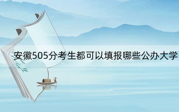 安徽505分考生都可以填报哪些公办大学？（供2025届高三考生参考）
