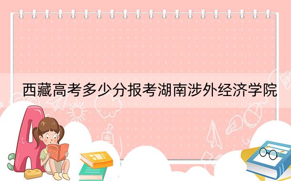 西藏高考多少分报考湖南涉外经济学院？2024年录取分分