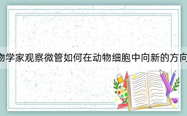 生物学家观察微管如何在动物细胞中向新的方向分支