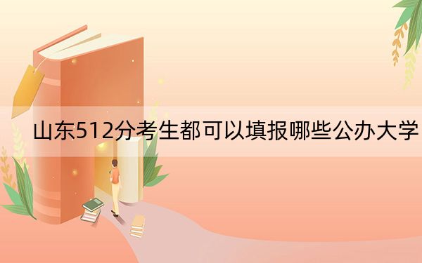 山东512分考生都可以填报哪些公办大学? 2024年一共20所大学录取
