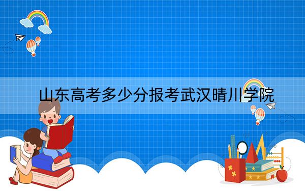 山东高考多少分报考武汉晴川学院？2024年综合投档线486分