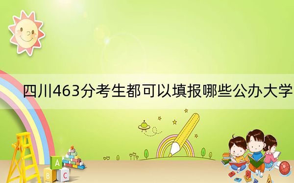 四川463分考生都可以填报哪些公办大学？ 2024年高考有6所最低分在463左右的大学