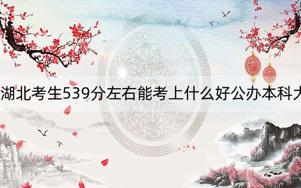 湖北考生539分左右能考上什么好公办本科大学？ 2025年高考可以填报58所大学
