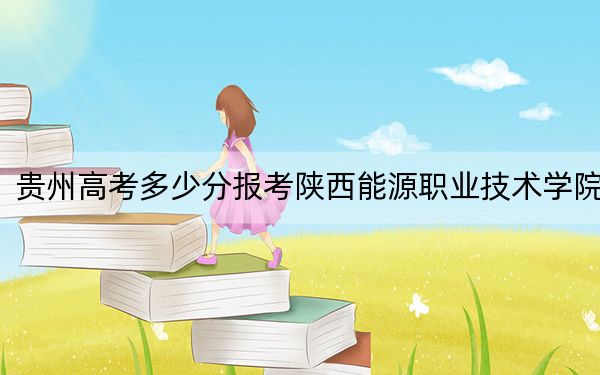贵州高考多少分报考陕西能源职业技术学院？2024年历史类录取分307分 物理类262分