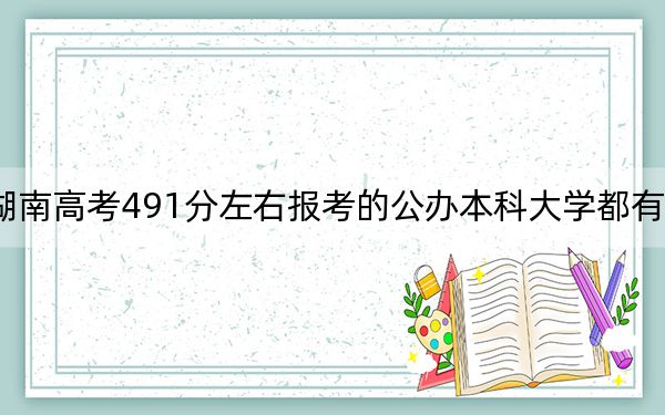 湖南高考491分左右报考的公办本科大学都有哪些？ 2024年一共70所大学录取