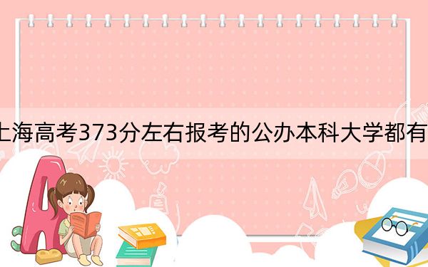 上海高考373分左右报考的公办本科大学都有哪些？ 2024年高考有0所最低分在373左右的大学
